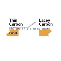 Lacey Carbon film TEM grids