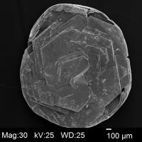 Tungsten Crystal (タングステン結晶)
